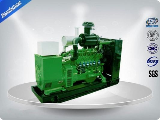 Three Phase Natural Gas Generator Set , Petrol Generator Set 15 Kw Prime Power nhà cung cấp