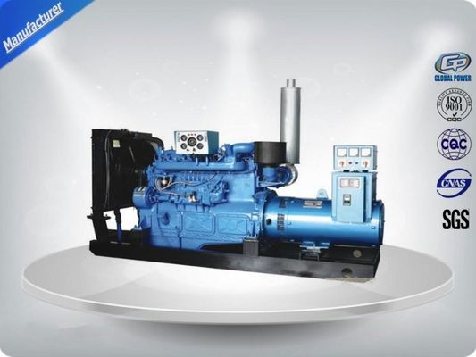 Elecrical Govering Open Diesel Generator , 175 Kva Water Cooled Genset With Doosan Engine nhà cung cấp